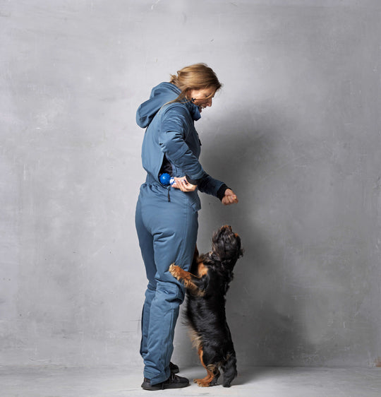 DogCoach Jumpsuit | Industrial Blue